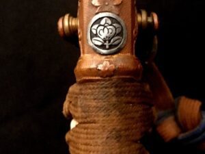 Close-up of a stringed instrument's scroll with a decorative emblem.