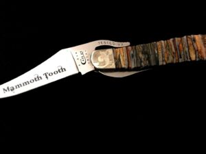 CASE Shepherd Hills Knife -Russlock -Rare FOSSIL TOOTH -Collection -Scrolled USA