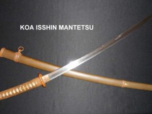 A Japanese katana with wooden sheath on a black background.