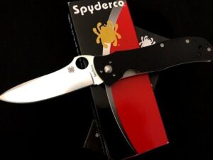 Spyderco Terzuola STARMATE -C55GP C55 -Collection Knife -NEW in Box